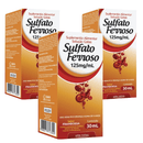 Kit C/3 Sulfato Ferroso Gotas 125MG 30ML - Arte Nativa