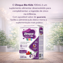 Zinqua Bio Kids Solução 100Ml + Seringa Dosadora - Airela