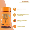 Cordyceps Sinensis 60 Cápsulas - FortLife