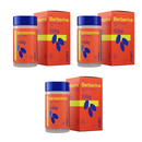 Kit C/3 Berberina 500mg Por Dose C/60 Cápsulas - Fortlife