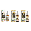 Kit 3x Vitamina B12 Morango 20ml - Metilcobalamina 9,94 mcg por gota - Flora Nativa