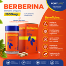 Berberina 500mg Por Dose C/60 Cápsulas - Fortlife