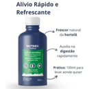 Kit 3x Leite de Magnésia Sabor Hortelã 100ml - Nutriex