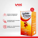 Kit C/3 Sulfato Ferroso Gotas 125MG 30ML - Arte Nativa