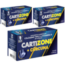 Kit C/3 Cartizone Colágeno + Cúrcuma Tipo II 500mg C/60 Cápsulas