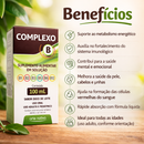 Complexo B Solução 100ml Força Imunidade e Disposição - Arte Nativa