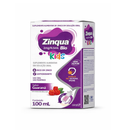 Zinqua Bio Kids Solução 100Ml + Seringa Dosadora - Airela