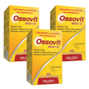 Kit C/3 Ossovit 600 + D 200UI C/60 Comprimidos - Arte Nativa