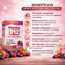 Kit C/2 Vitamina B12 Frutas Vermelhas C/60 Comprimidos - Prevent Pharma