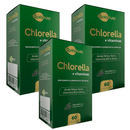 Kit C/3 Chlorella + Vitaminas 500mg C/60 Cápsulas - Qualy Nutri