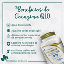 Coenzima Q10 100mg Dose C/60 Cápsulas - Flora Nativa