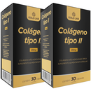 Kit C/2 Colágeno Tipo II C/30 Cápsulas - Gold Lab