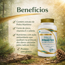 Pinus Pinaster Vitamina E Selênio Zinco 60 Cápsulas - Flora nativa do Brasil