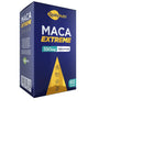 Maca 550mg C/60 Cápsulas - Qualy nutri