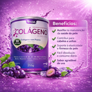Colágeno Hirdrolisado com Premix Sabor Uva - Ada Nutracêuticos